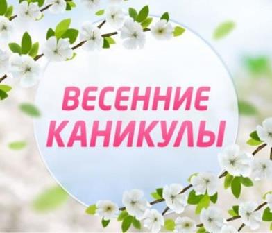 заставка222