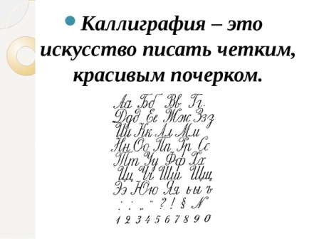 Программа Каникулы