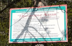 5 Природный парк Предгорья Алтая