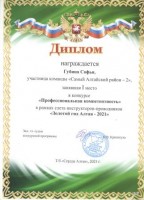Диплом Губина 001
