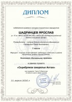 Шадринцев Я