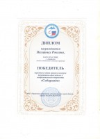 Диплом Нагорных Р 001