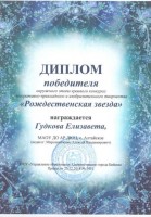 Гудкова Рожд.звезда 001