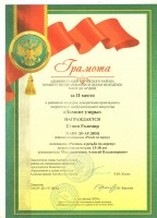Зимние узоры 001