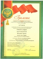 зимние узоры 2023 2024 001