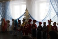 IMG 0050