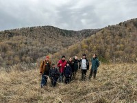 Программа «Каникулы»