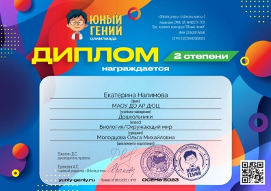 Диплом 2 степени